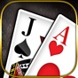 Blackjack 21 - Platinum Player app download