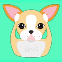 Animated Blonde Boston Terrier