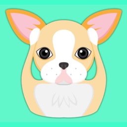 Animated Blonde Boston Terrier