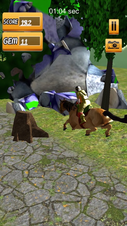 Run Horse Run 3d