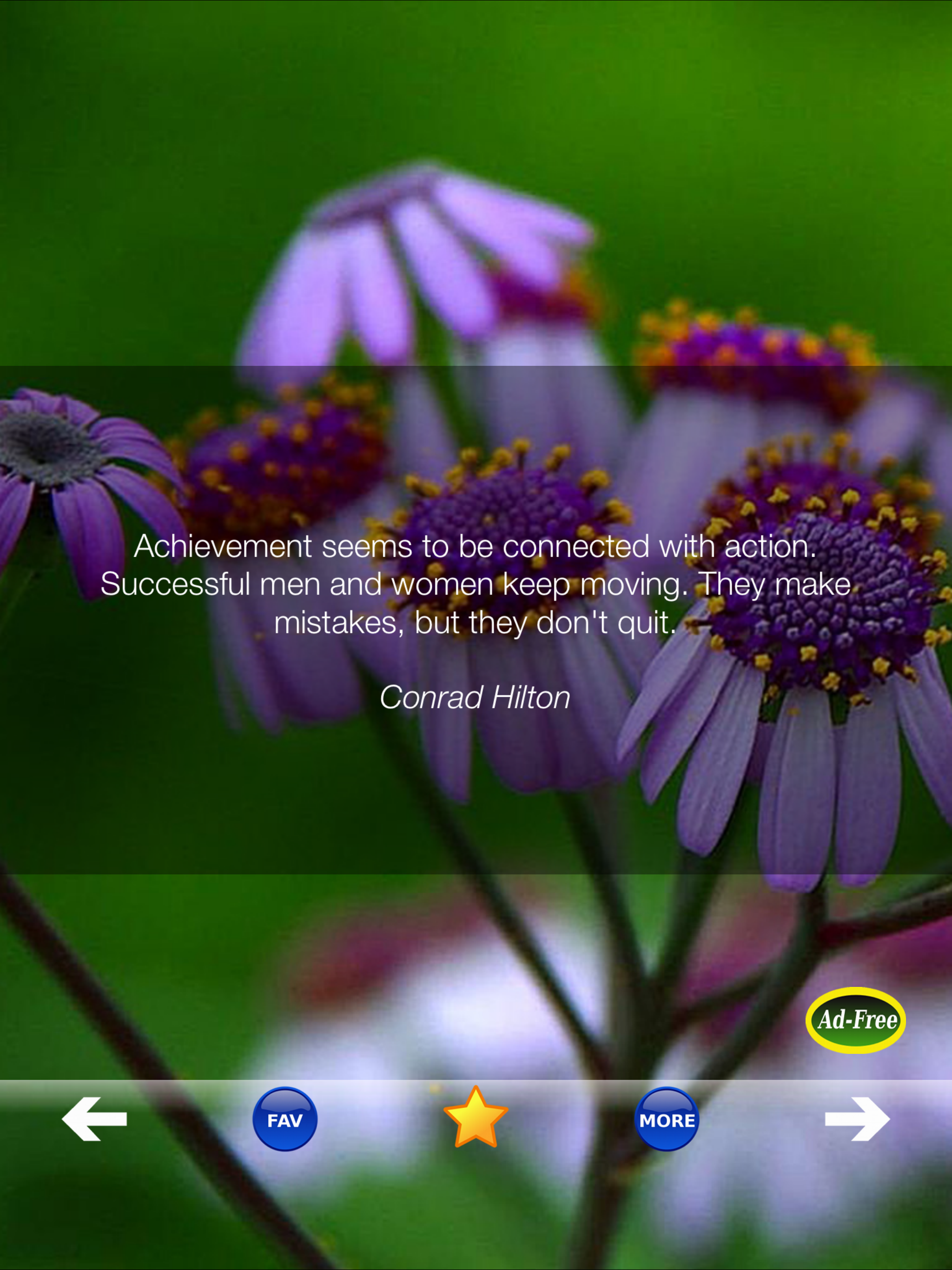 Motivational Success Quotes!