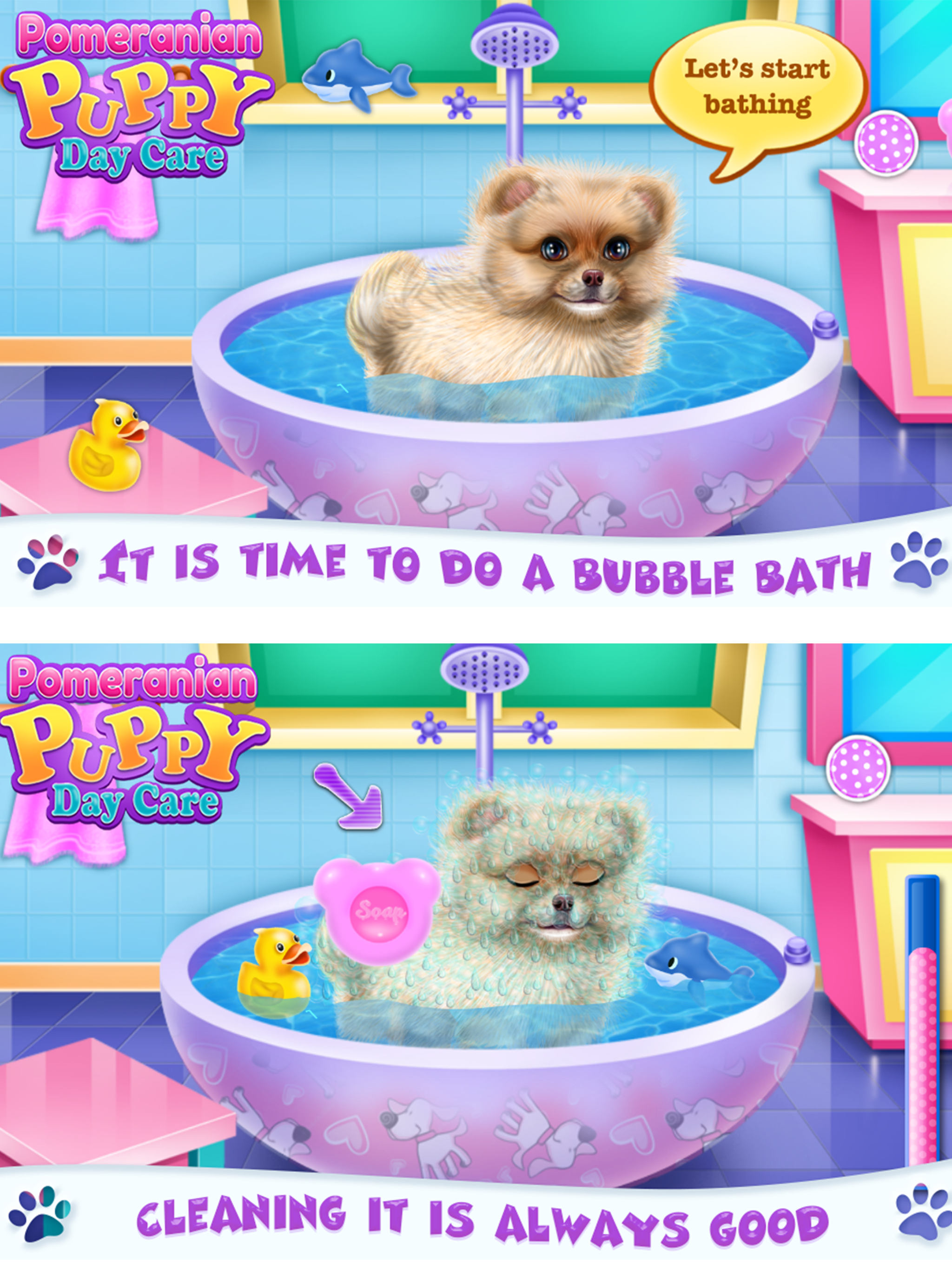 Pomeranian Puppy Day Care