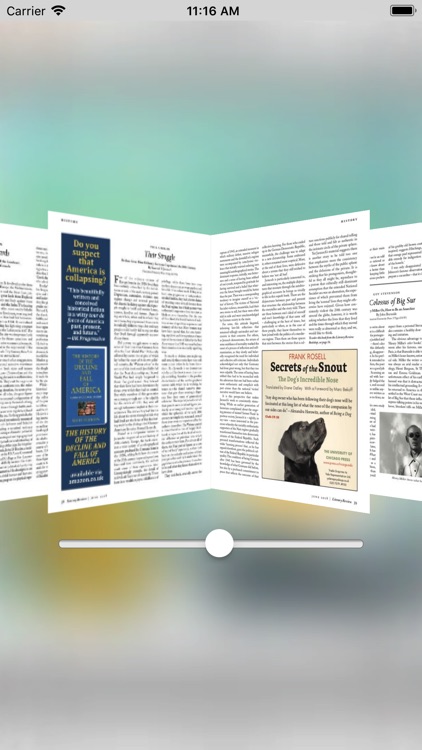 Literary Review screenshot-3