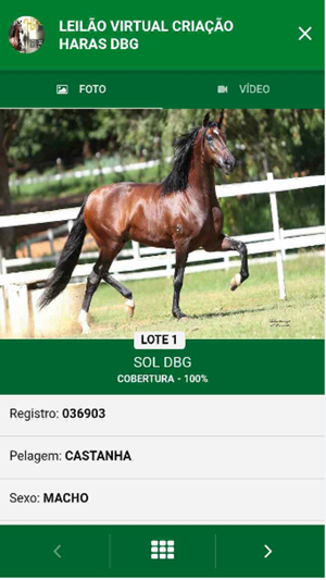 Fiel Leilões(圖4)-速報App