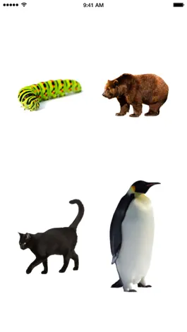 Game screenshot Toddler Animals Game mod apk