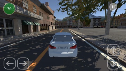Town Driving screenshot 4