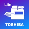 e-BRIDGE Print & Capture Lite