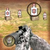 Sniper Target Shooting Expert