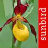 Similar Orchid Id - British Orchids Apps