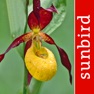 Get Orchid Id - British Orchids for iOS, iPhone, iPad Aso Report