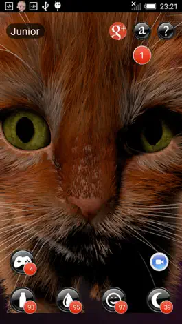 Game screenshot My Kitten (Cat Simulator) apk