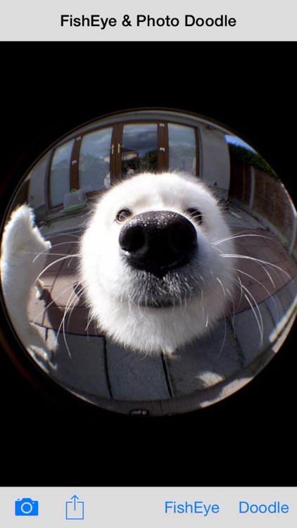 FishEye Camera & Photo Doodle