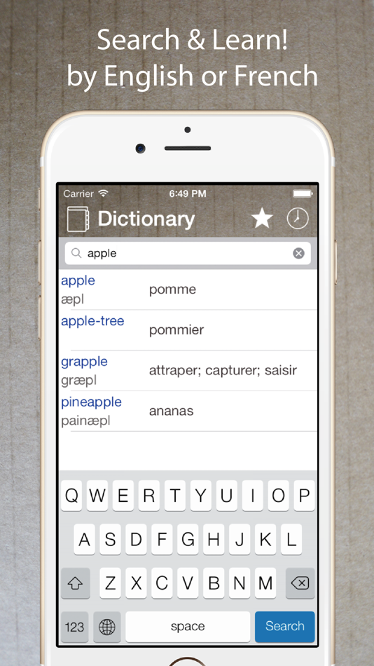 French English Dictionary Pro+ - 5.1.0 - (iOS)