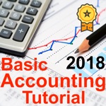 Pro Accounting Tutorial Course