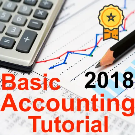Pro Accounting Tutorial Course Cheats