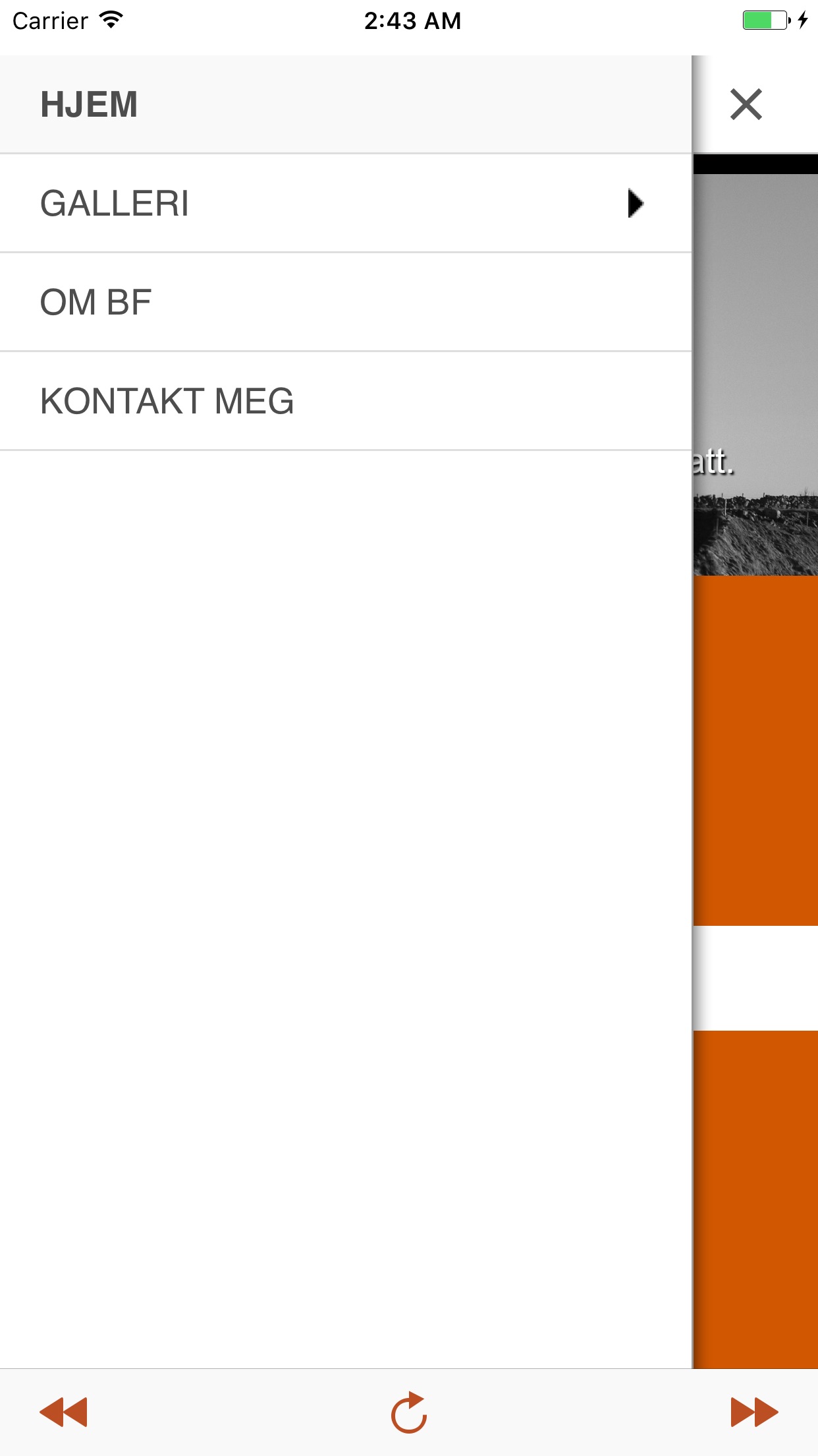 Screenshot 2 of Børdal Foto