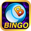 Bingo Mania