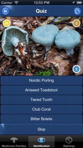 Mushroom Id Guide - UKのおすすめ画像4
