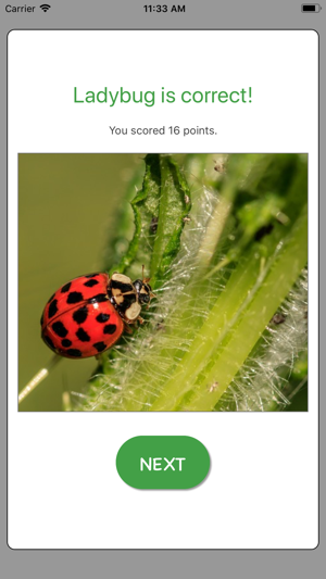 Picture Guess Pro(圖5)-速報App
