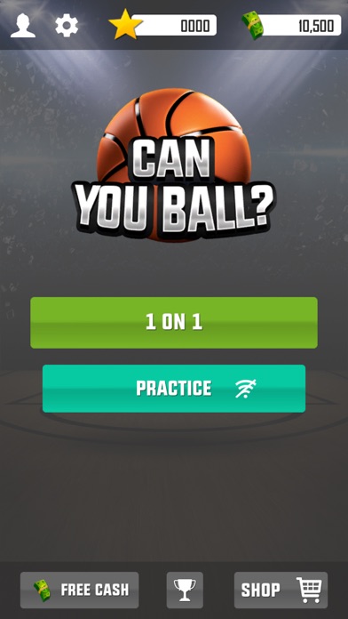 Can You Ball? - Hoop Anywhere screenshot 2