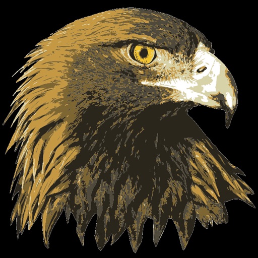 золотые орлы приложение