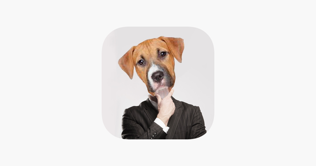 Vídeos engraçados de animais::Appstore for Android