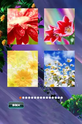 Game screenshot Spring Jigsaw Puzzles apk