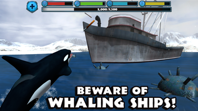 Orca Simulator screenshot 2