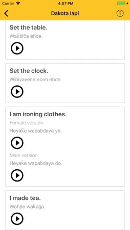 Dakota Iapi screenshot 3