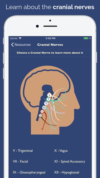 Dysphagia Therapy screenshot-5