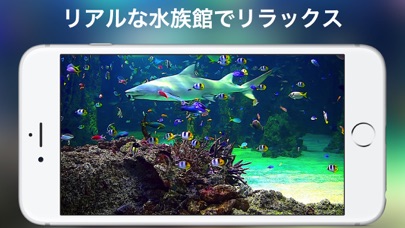 アクアリウムHD + screenshot1