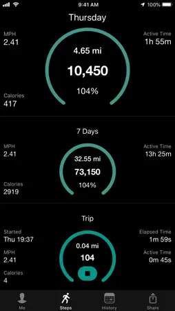 Stepwise Pedometer screenshot 1