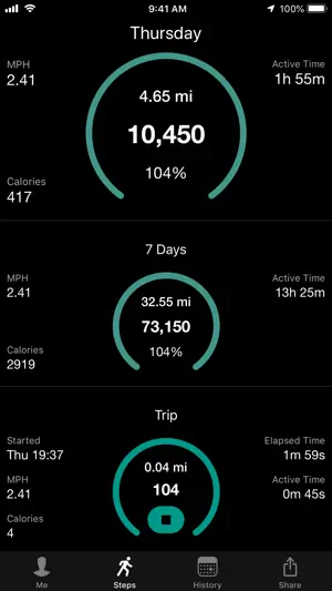 Stepwise Pedometer screenshot 1