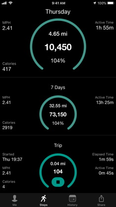 Stepwise Pedometer screenshot 1