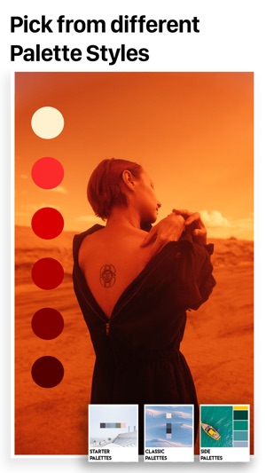 Palette Republic(圖2)-速報App