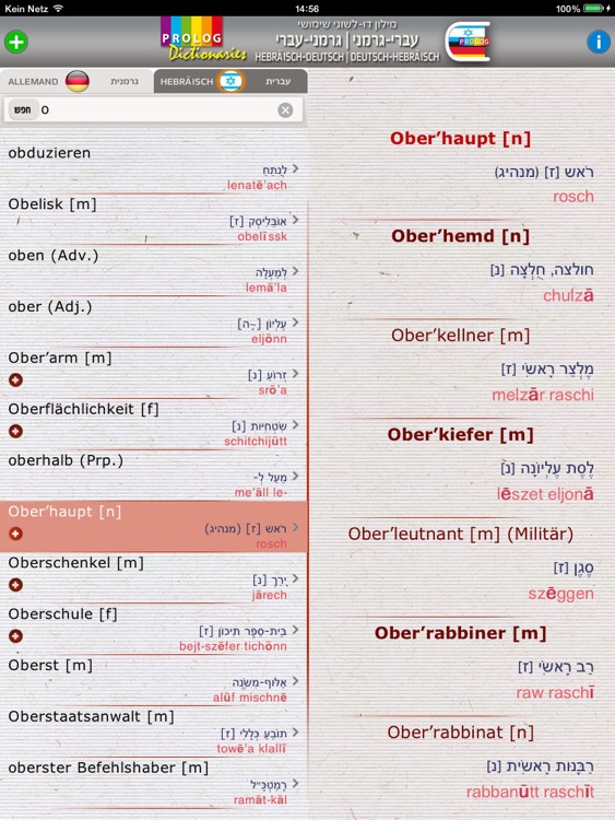 HEBREW Dictionary 18a7 screenshot-4