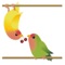 Cute Birds And Love Sticker