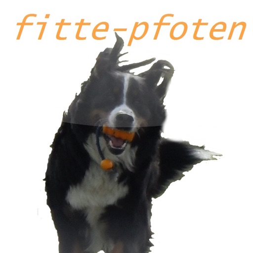 Fitte-pfoten