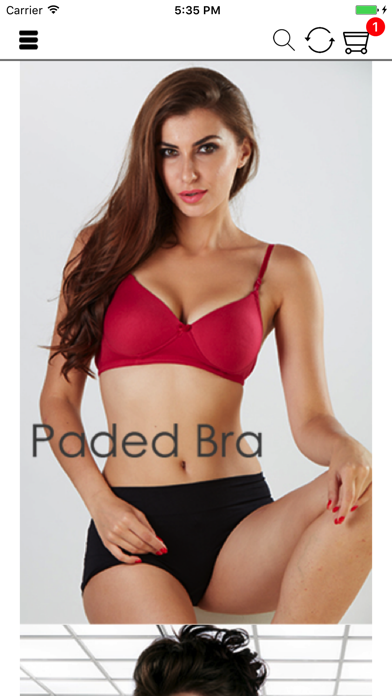 How to cancel & delete Scan Lingerie Pvt Ltd from iphone & ipad 2