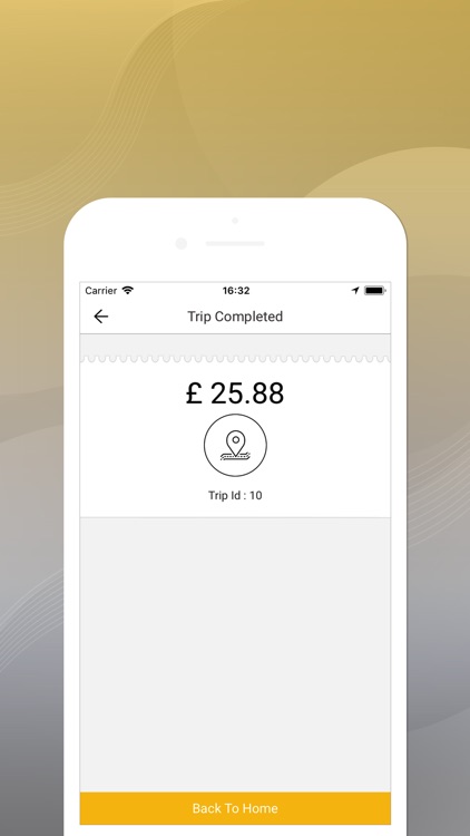 Street Cab Driver screenshot-6
