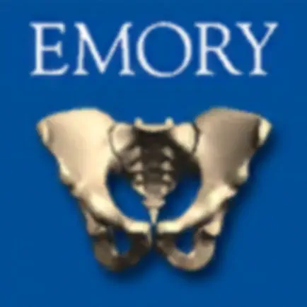 Anatomy of the Male Pelvis Cheats