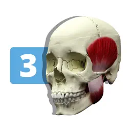 Occlusion Atlas 3 app icon