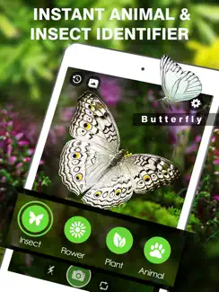 Smart Identifier: Plant+Insect iPad image 4
