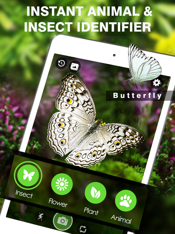Screenshot #4 for Smart Identifier: Plant+Insect