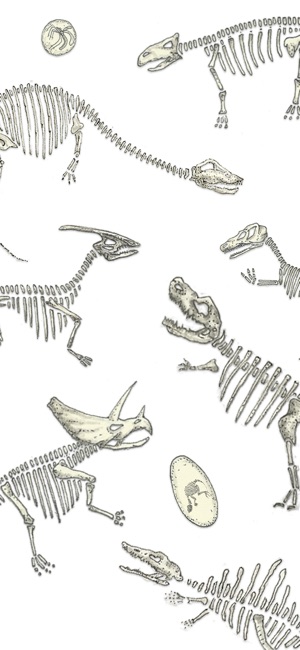 Dino Stickers(圖3)-速報App
