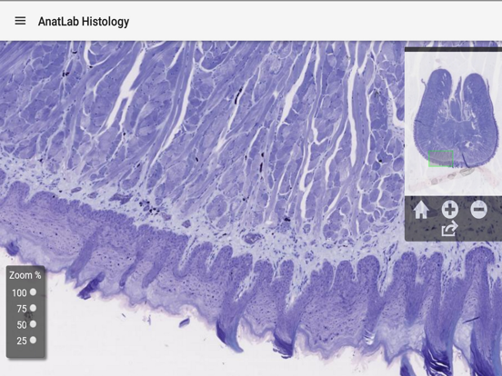 Screenshot #5 pour AnatLab Histology
