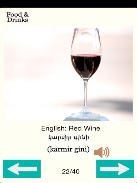 Armenian Words for Food Audio screenshot-4