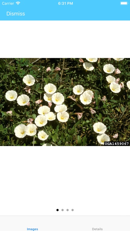 Pull It or Keep It screenshot-4