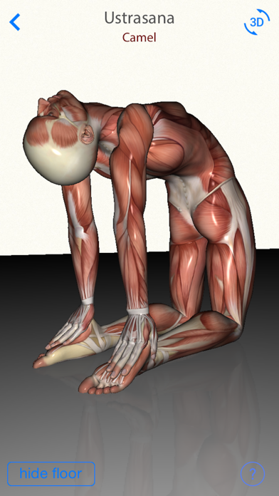 3D Yoga Anatomy Lite Screenshot