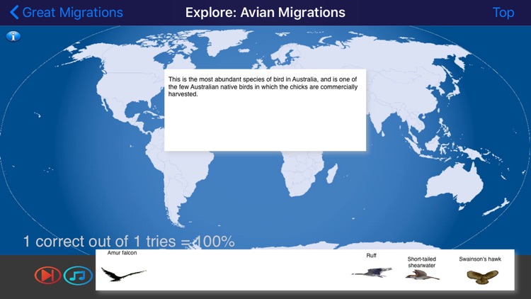 Great Migrations screenshot-3